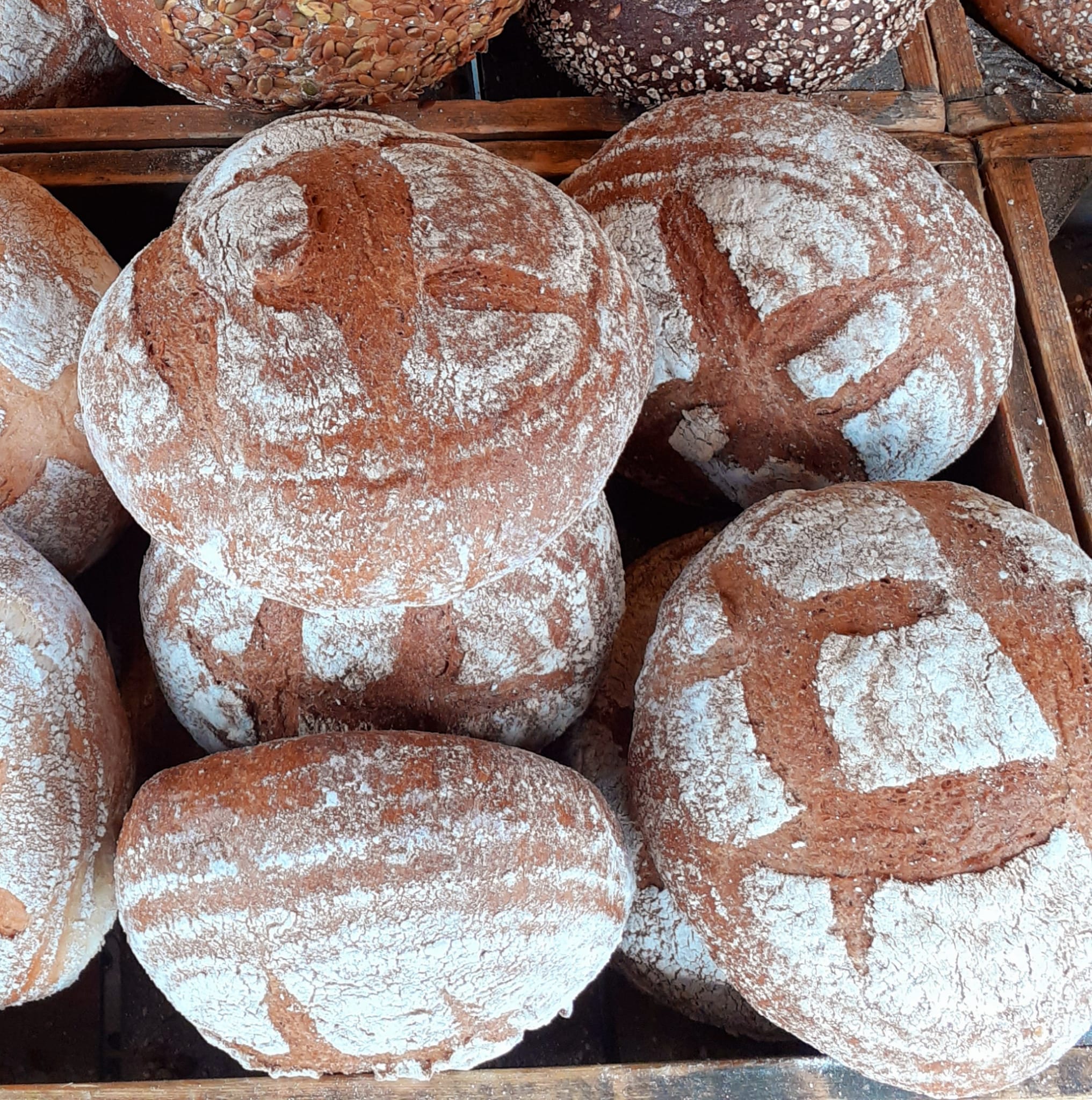 Desem Volkoren Bol Boulangerie Kroesen Desem Volkoren Bol Boulangerie Kroesen
